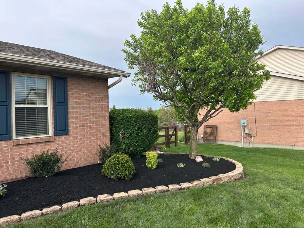Hero image for Solution Lawn Care and Landscaping
