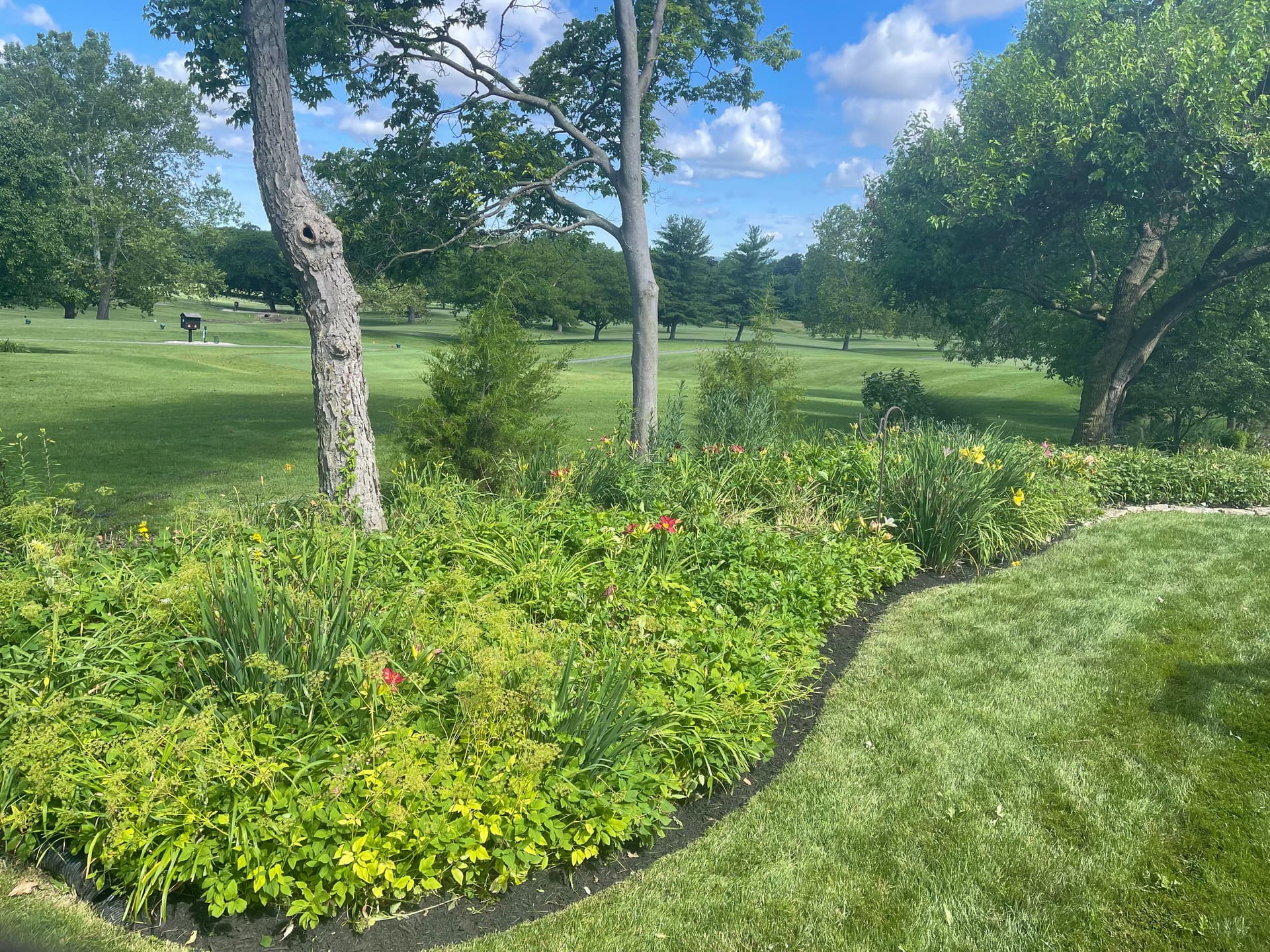 Gallery photos for Flower Bed Mulch Refresh Done Right in Liberty Township: Image #2