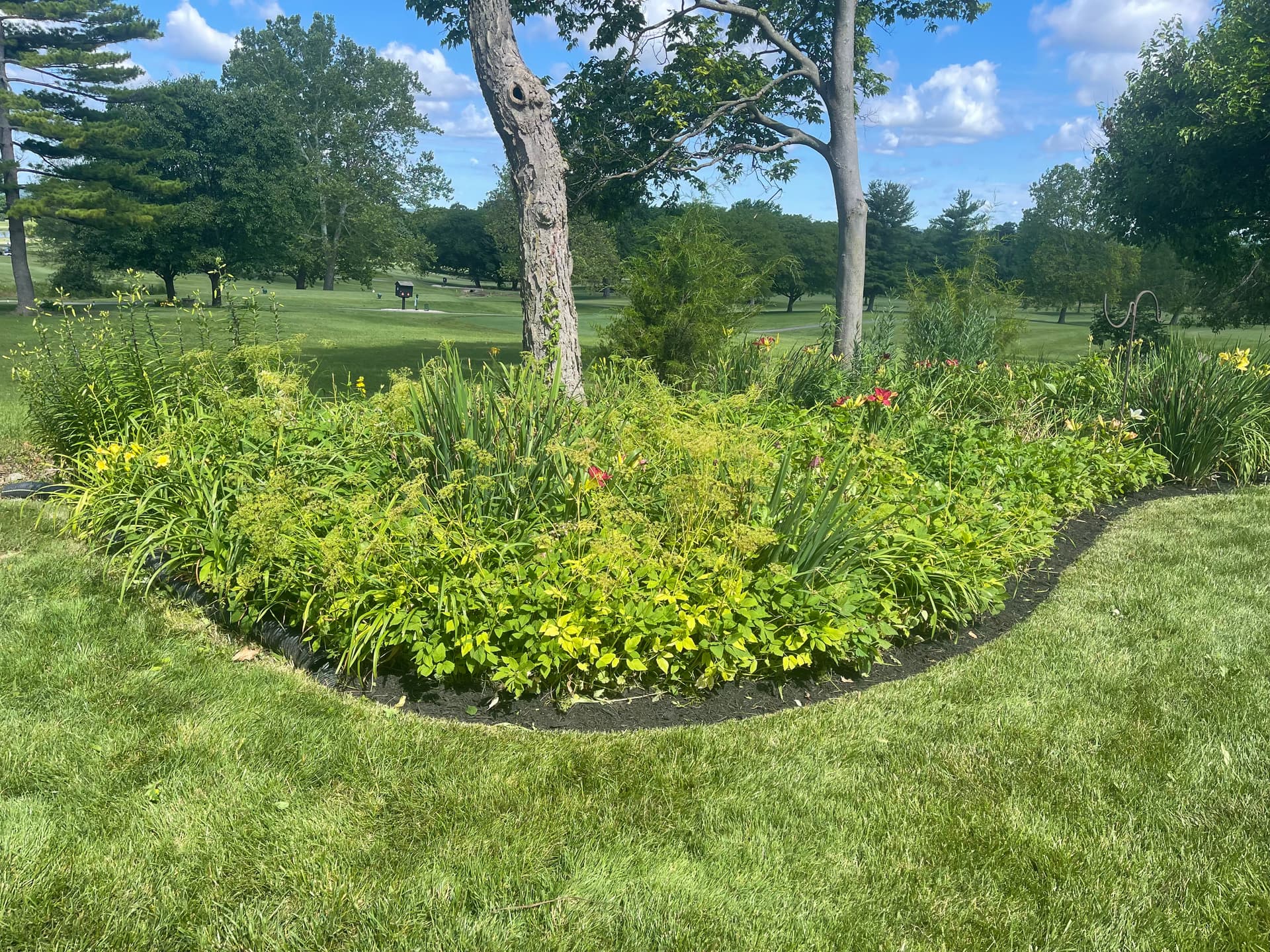 Gallery photos for Flower Bed Mulch Refresh Done Right in Liberty Township: Image #1