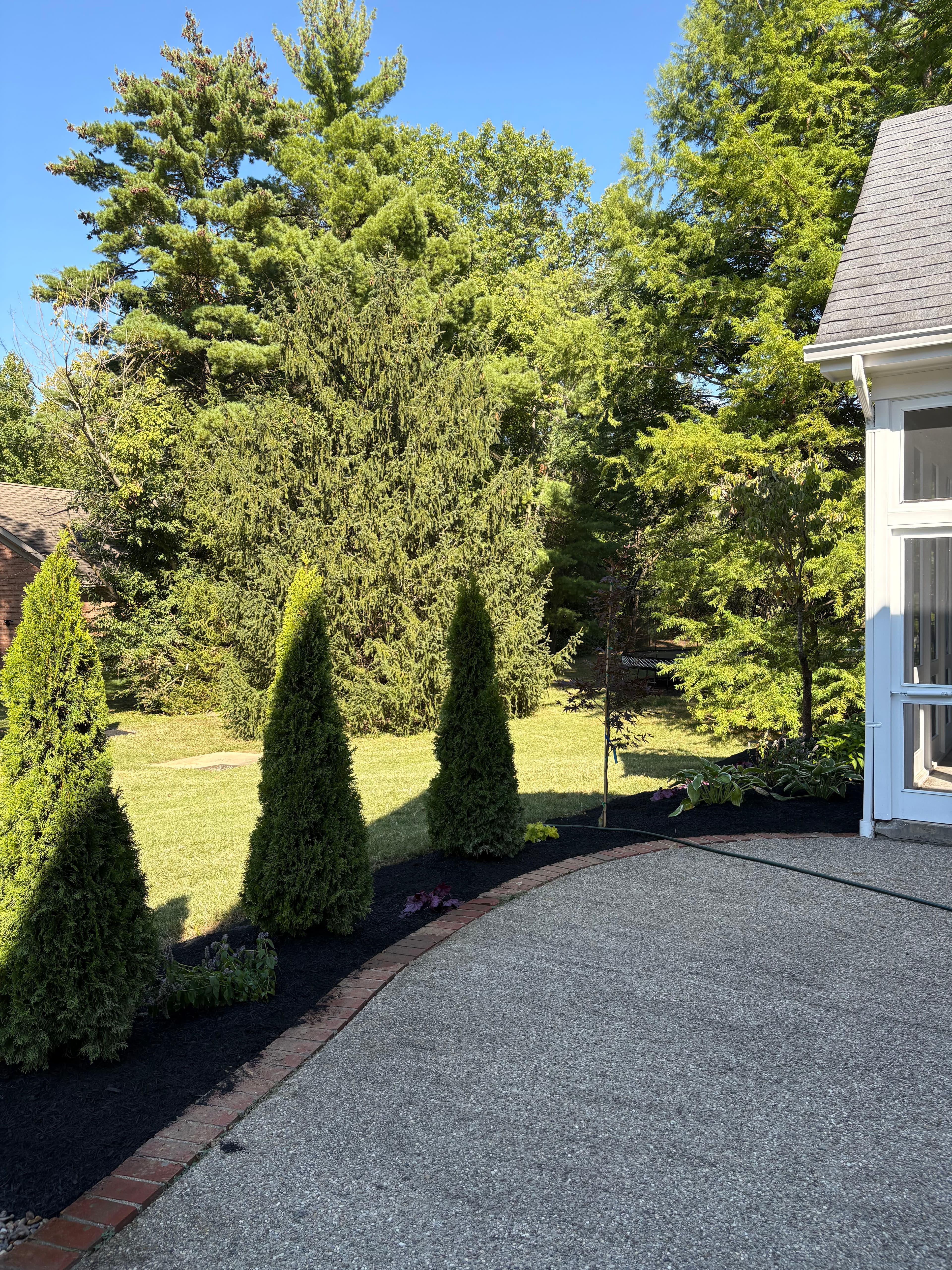 Project Arborvitae Privacy Screen Installation in Indian Hill image
