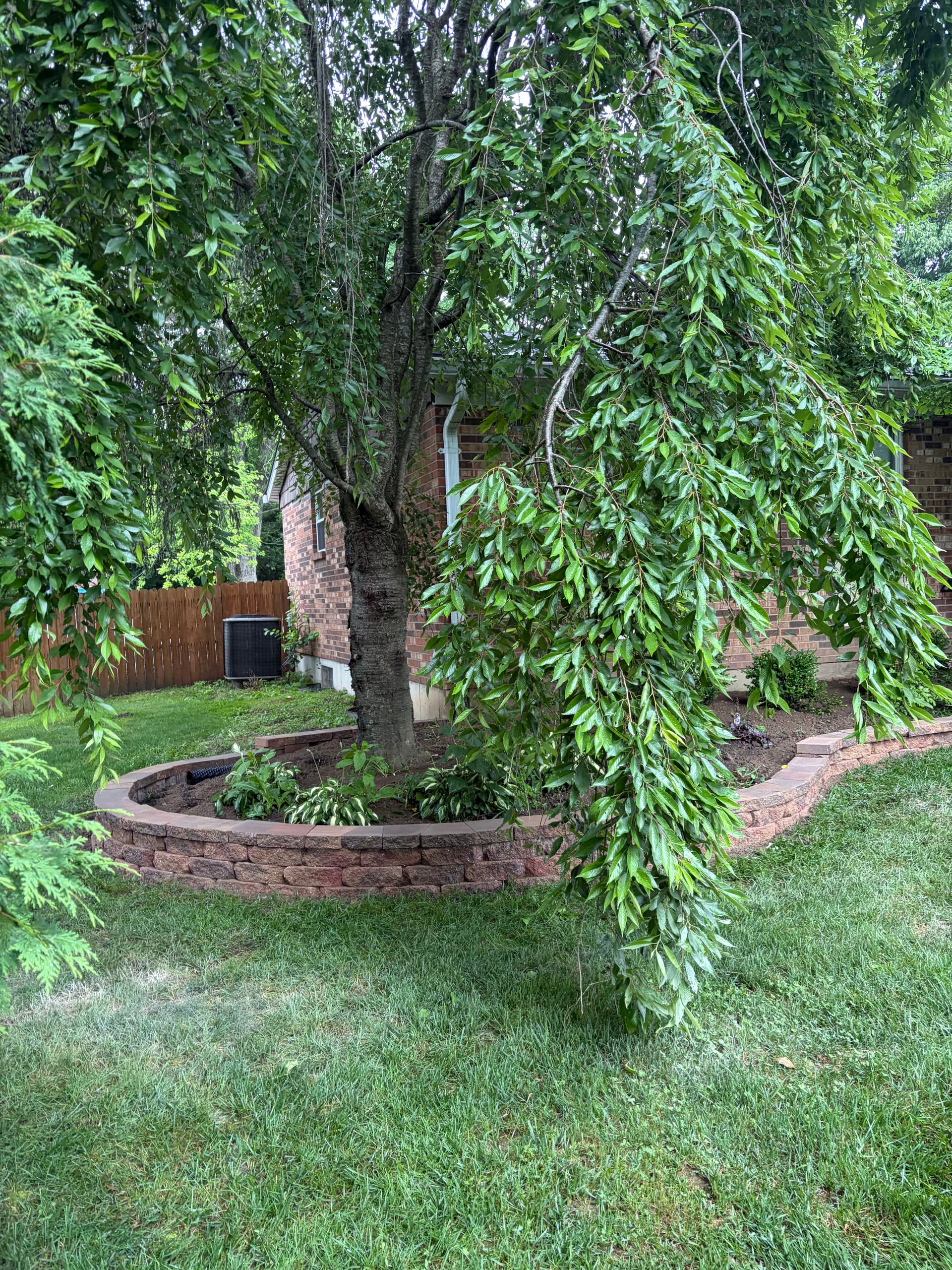 Gallery photos for Retaining Wall and Landscape Bed Install in Hamilton OH: Image #3