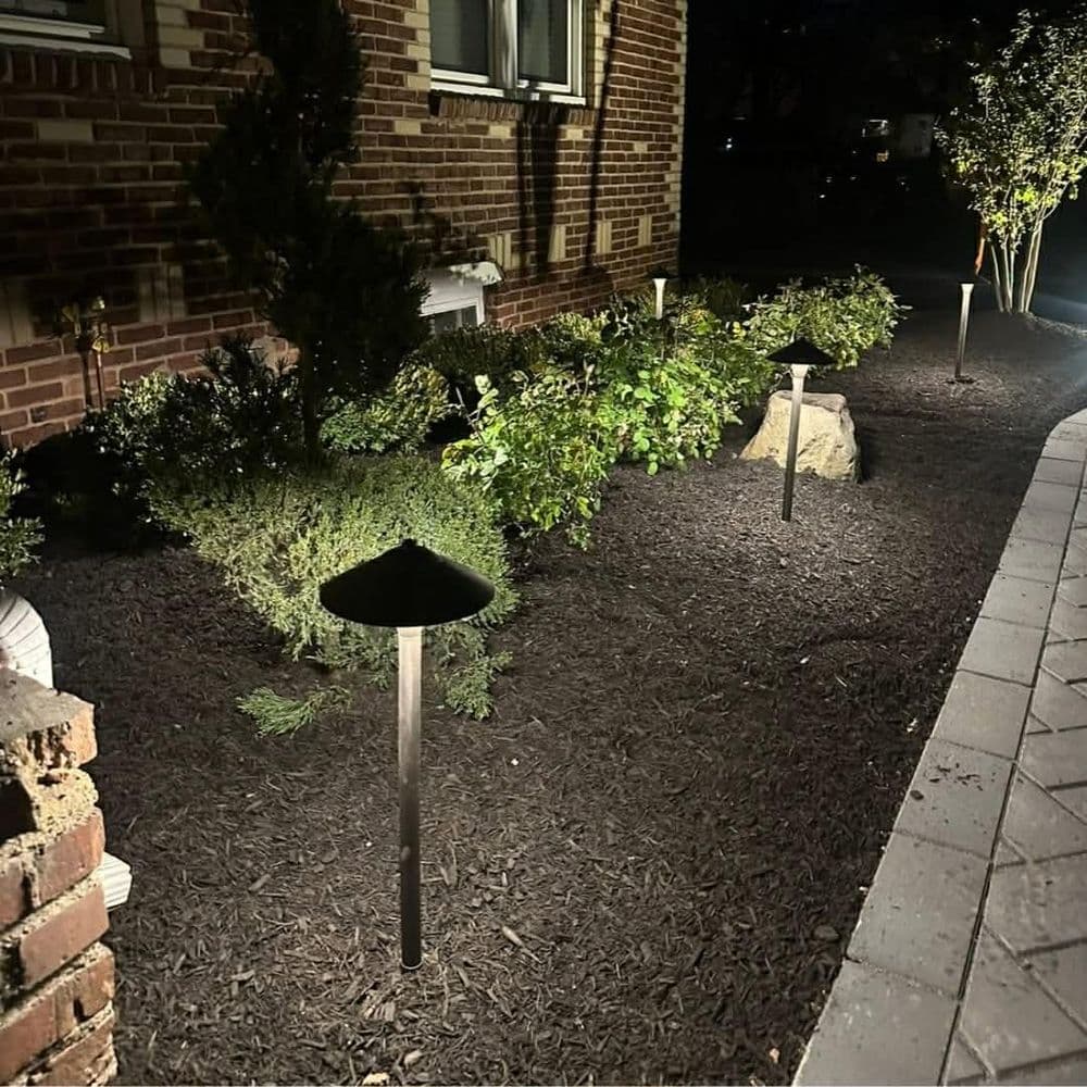 Modern outdoor landscape lighting highlighting garden features at night.