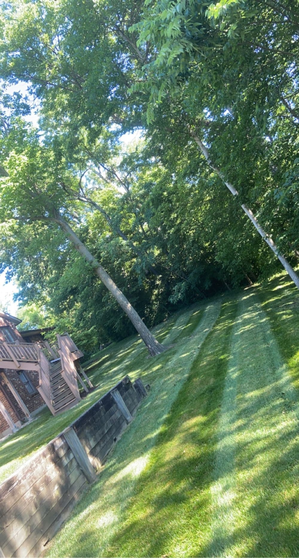 Lush green lawn with neatly mowed stripes and tall trees in the background.