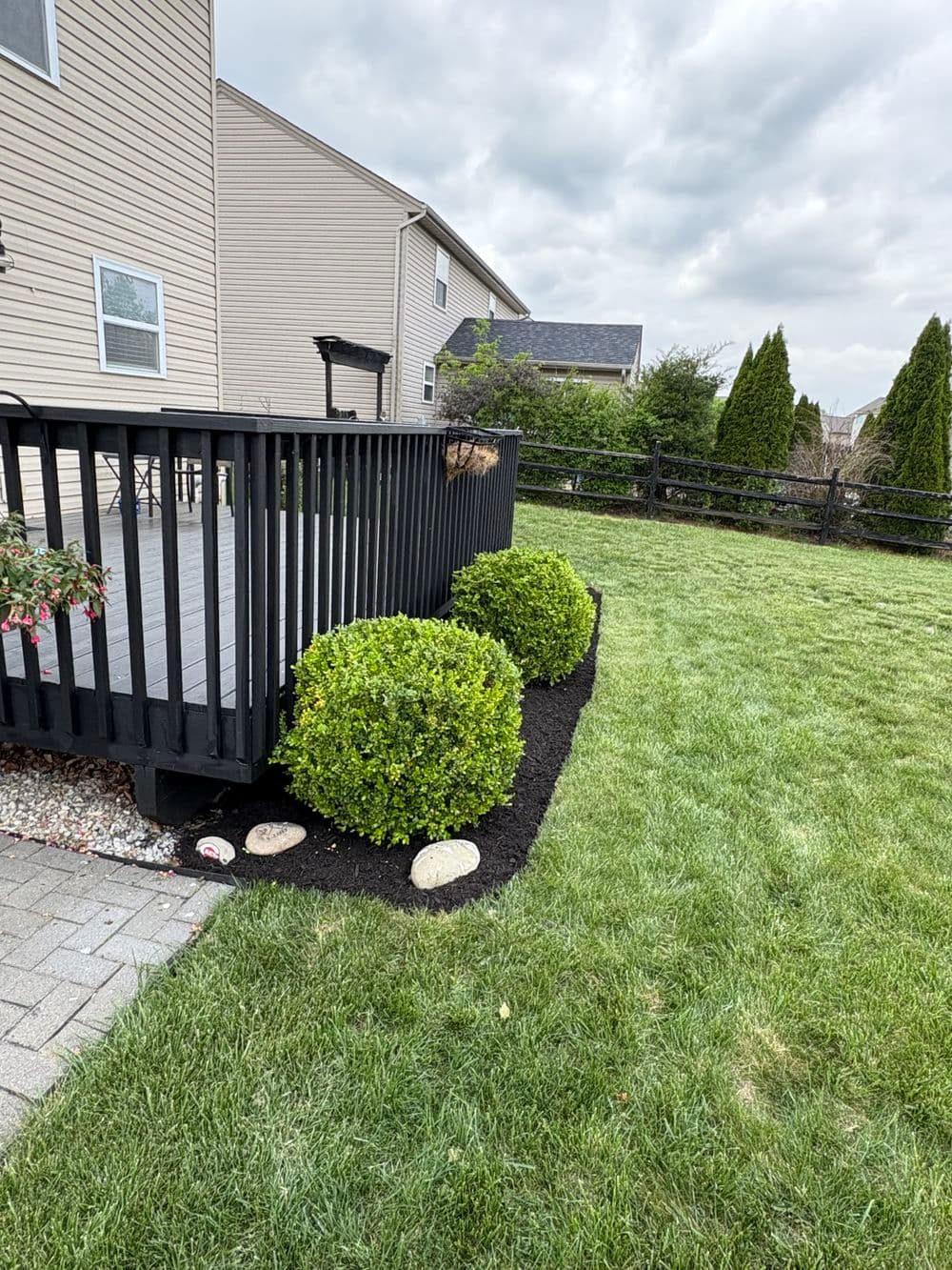 Landscaped backyard with black wooden deck, round bushes, and manicured lawn.