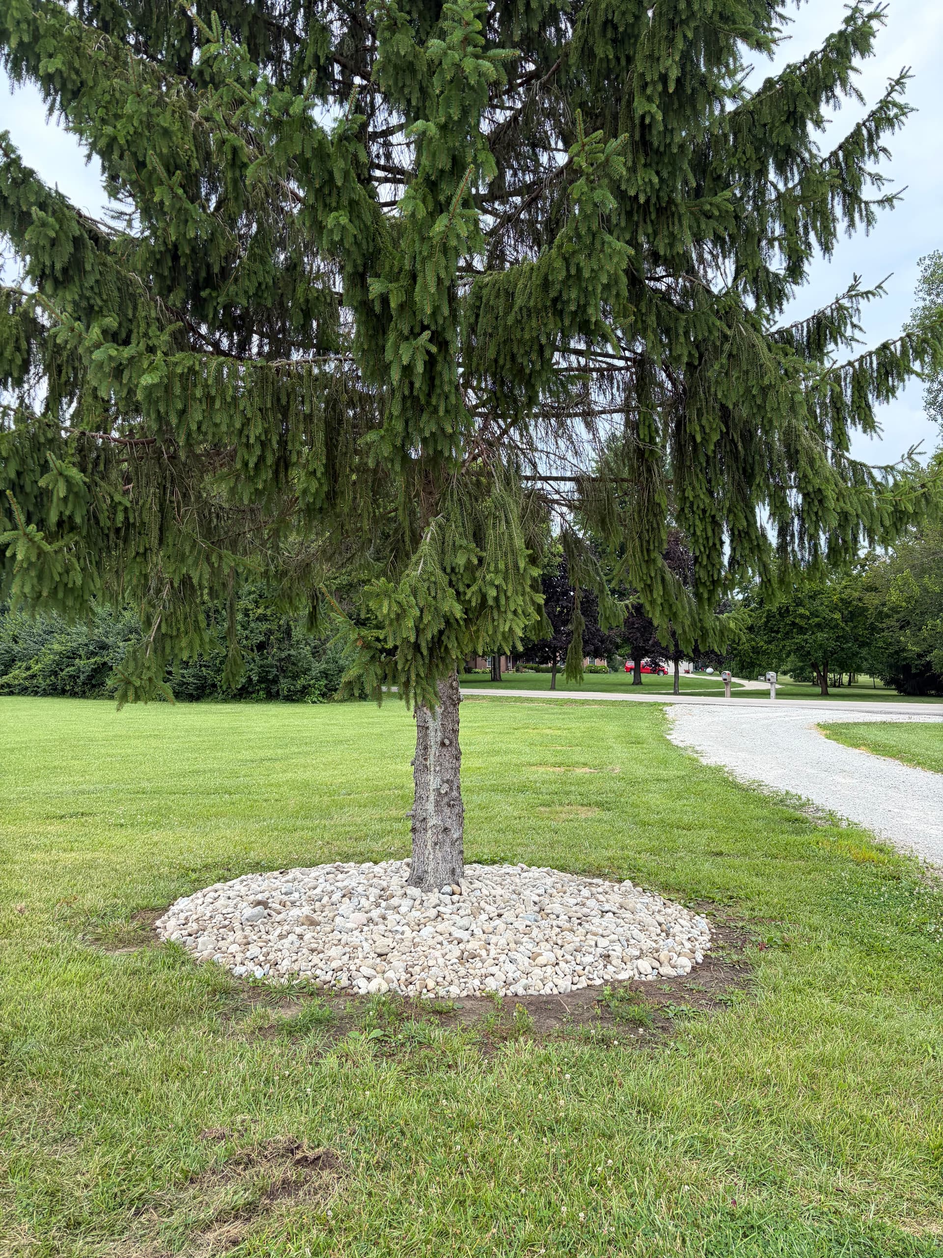 Gallery photos for Black Slate, River Rock, and Paver Work in Centerville: Image #4